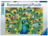 Ravensburger Puzzle Pfauenland Puzzle 2000 Teile, Puzzleteile