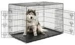 lionto Tiertransportbox faltbar mit Bodenwanne, schwarz, hygienisch mit...