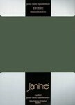 Janine Jersey Elastic Spannbetttuch 140x200 cm - 160x220 cm olivgrün Janine Jersey Elastic Spannbetttuch 140x200 cm - 160x220 cm olivgrün