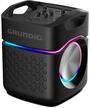 Grundig Party-Lautsprecher