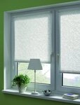 Seitenzugrollo EASYFIX Rollo Dekor Jahreszeiten, GARDINIA, Lichtschutz, mit