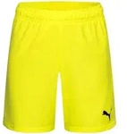 PUMA Trainingsshorts Puma Kinder Short teamGOAL Shorts Jr 705753