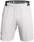 Under Armour&reg; Trainingsshorts Under Armour Herren Shorts Vanish Woven 8in Short