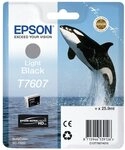 Epson Tintenpatrone