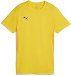 PUMA T-Shirt TeamGoal Jersey Wmn