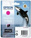 Epson Tintenpatrone