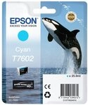 Epson Tintenpatrone