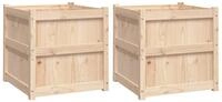 vidaXL Pflanzk&uuml;bel, Pflanzkasten 2 Stk. Massivholz Kiefer