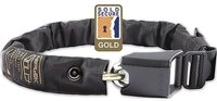 Hiplok Vorh&auml;ngeschloss Gold (Gld1Ab)