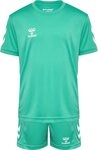 hummel Trainingsanzug Hmllogo Set Kids