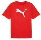 PUMA Fu&szlig;balltrikot TEAMRISE LOGO JERSEY COTTON f&uuml;r Fu&szlig;ball, Kurzarm, sportlicher