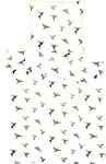 APELT Bettw&auml;sche Kolibri, Mako-Satin, 2 teilig, stylische bunte V&ouml;gel