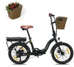 SachsenRAD E-Bike Faltrad Faltrad F2 Farmers mit Korb und Alarmanlage, 7 Gang