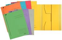 LEITZ Organisationsmappe LEITZ Jurismappe A4 sortiert 39240099 Karton