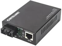 Intellinet Stereo-Netzwerk-Receiver