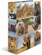 HERMA Aktenordner Ordner A4 Afrika Tiere