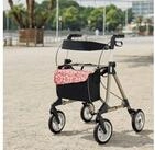 RUSSKA Rollstuhltasche Russka Tasche mit Magnetverschluss f&uuml;r Elan Rollator Ornament