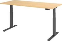 HAMMERBACHER Schreibtisch Sitz-Steh-Schreibtisch elektrisch 180x80cm Ahorn/Silber