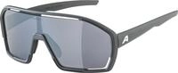 Alpina Sports Sonnenbrille BONFIRE