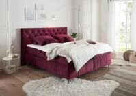 ED EXCITING DESIGN Boxspringbett Pembroke, inkl. Topper