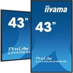 Iiyama DS LH4365UHSB 108cm IPS 24/7 43/3840x2160/DP/2xHDMI/2xUSB 2.0 TFT-Monitor