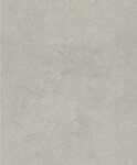 Rasch Vliestapete Vliestapete 315141 Silber-silbergrau Uni 10,05 m x 0,53 m
