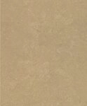 Rasch Vliestapete Vliestapete 315196 Gold-mattgold Uni 10,05 m x 0,53 m