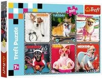 Trefl Puzzle Happy Dogs, 200 Puzzleteile
