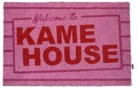 SD Toys Fu&szlig;matte Dragon Ball Kame House T&uuml;rmatte