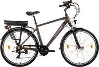 Hollandia E-Bike Cityrad Zagon, 6 Gang Shimano Tourney Schaltwerk, Kettenschaltung,
