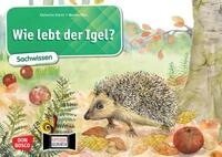 Wie lebt der Igel? Kamishibai Bildkartenset. / Katharina St&ouml;ckl-Bauer