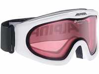 Alpina Sports Skibrille SKYBIRD Q
