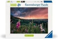 Ravensburger Puzzle power of nature, Ein Sturm zieht auf, 1000 Puzzleteile,...