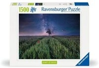 Ravensburger Puzzle Erwachsenenpuzzle Power of Nature 1500 Teile - Nachthimmel...