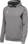 hummel Kapuzenpullover Hmlauthentic Pl Hoodie
