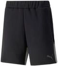 PUMA Trainingsshorts Puma Herren Shorts teamCUP Casuals Shorts 657989