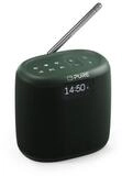 Pure Pure Woodland Mini Radio