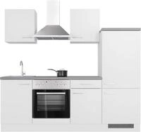Flex-Well K&uuml;chenzeile Kopenhagen, wahlw. mit E-Ger&auml;ten, Breite 220 cm, viele
