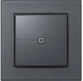 Homematic IP Wandtaster - 2-fach (140665A0) Wandtaster
