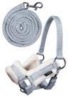 HKM Steckenpferd Hobby Horse Halfterset