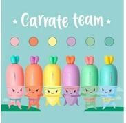 Legami Marker LEGAMI HC0001 Textmarker im 6er Set Karate Carrate Team