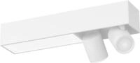 Philips Hue Smarte LED-Leuchte White & Color Ambiance Centris 2er Spot schwarz,