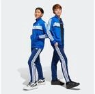 adidas Sportswear Trainingsanzug SEASONAL ESSENTIALS TIBERIO 3-STREIFEN TRICOT...