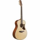 Ibanez Westerngitarre Ibanez AAM50 OPN