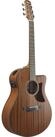 Ibanez Westerngitarre, Westerngitarren, Grand Auditorium Gitarren, AAM54CE-OPN -
