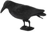 Floraworld Nagerschutz-Fenster floraworld Tierfigur Rabe Kunststoff, schwarz...