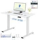 FLEXISPOT Schreibtisch Basic Plus h&ouml;henverstellbarer Schreibtisch mit