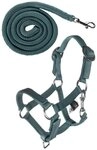HKM Reitpferd Hobby Horse Halfterset Basic