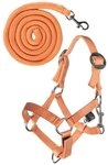 HKM Reitpferd Hobby Horse Halfterset Basic