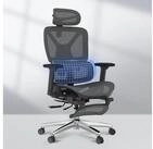 FLEXISPOT B&uuml;rostuhl ErgoX, Schreibtischstuhl Premium Ergonomischer (R&uuml;ckenlehne